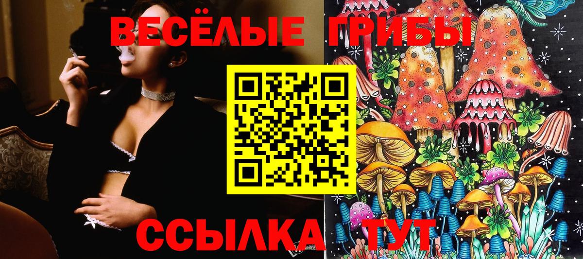 Галлюциногенные грибы мухоморы  Псилоцибиновые грибы Cubensis  Вход с VPN  Кулебаки 