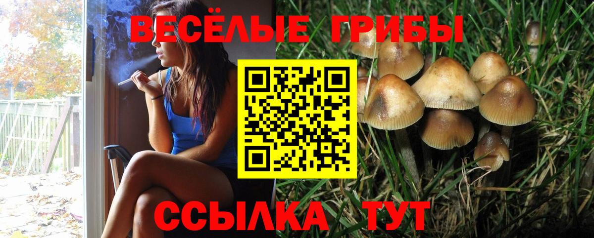 Галлюциногенные грибы GOLDEN TEACHER Кулебаки
